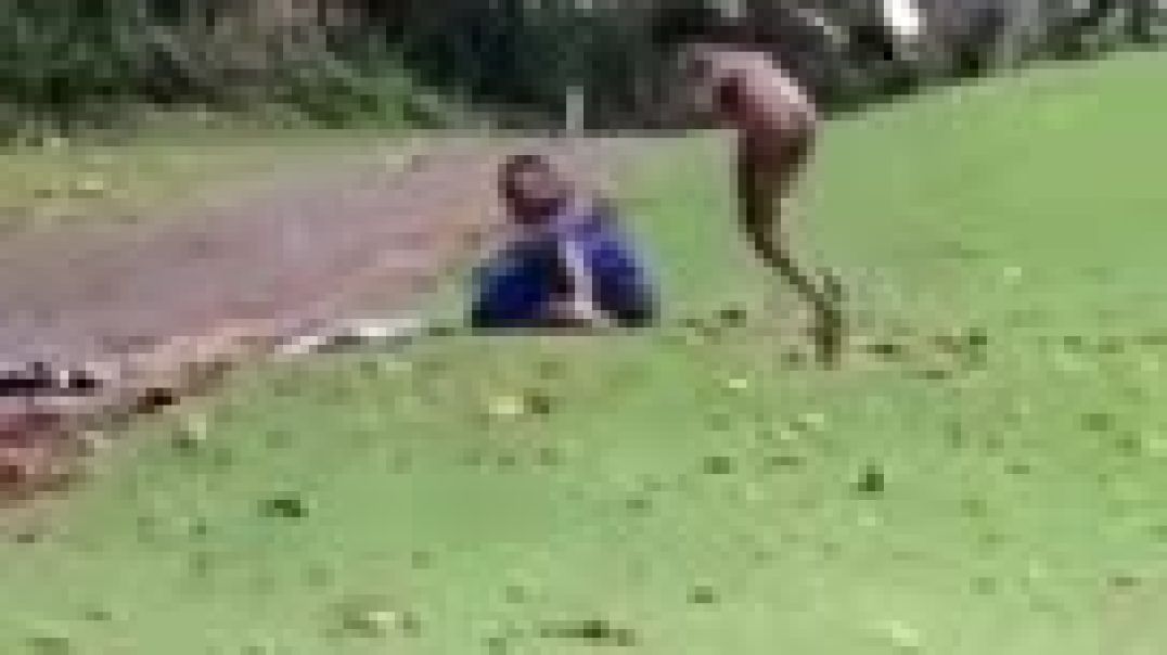 ⁣2 adults Caught fucking on a Golf pitch